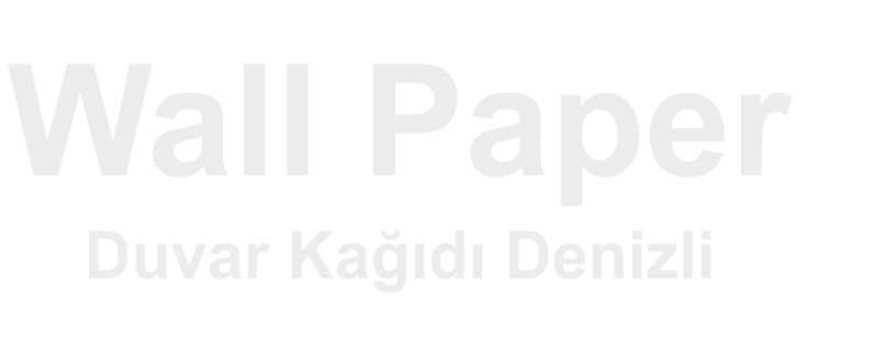 Wall Paper - Duvar Kağıdı Denizli