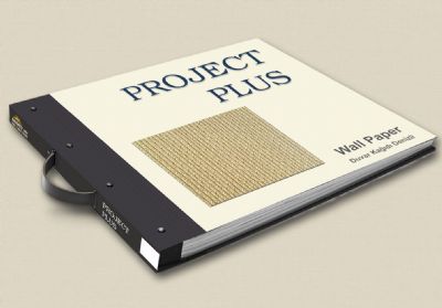 PROJECT PLUS